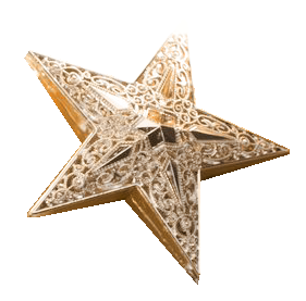 beautiful_reindeer_27