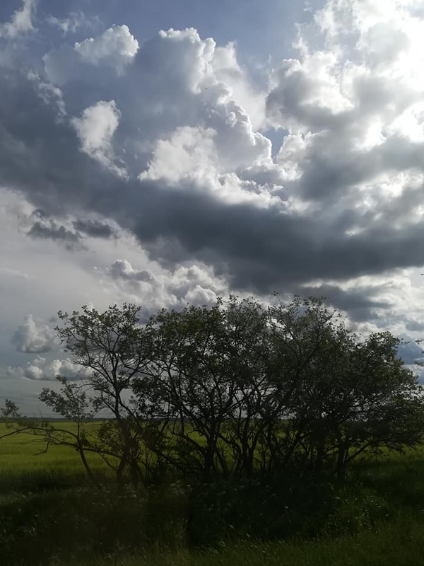 image - 2019-05-13T202415.888