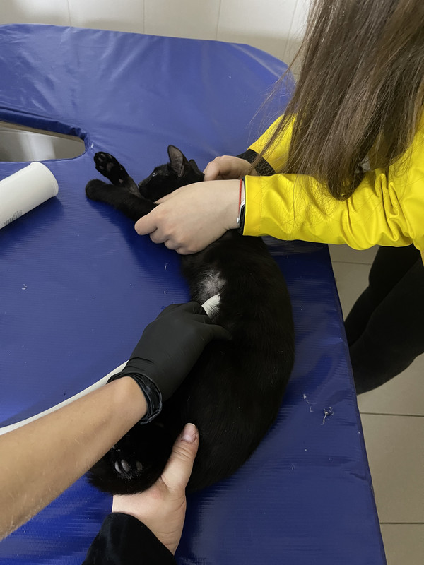 FA06B303-868D-45AC-ACCB-C571B86E6B9D