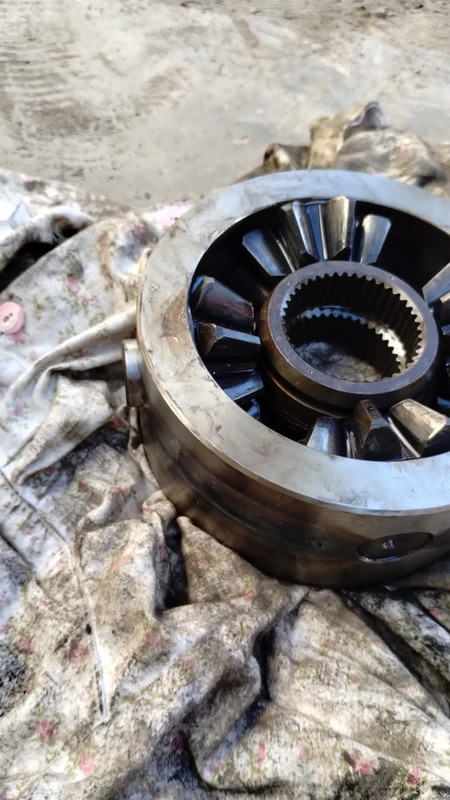 378f4b99-3568-416d-b05f-ea6207099755