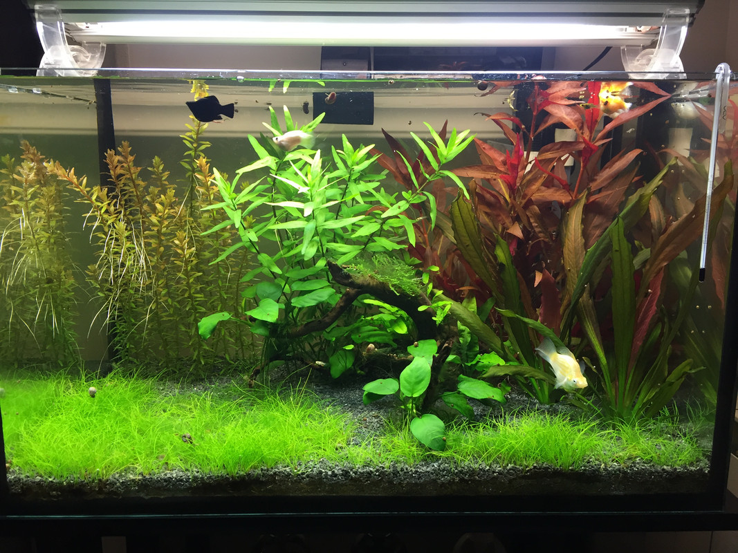 C4A85010-67F8-493D-805E-2AAB5B16F2AF