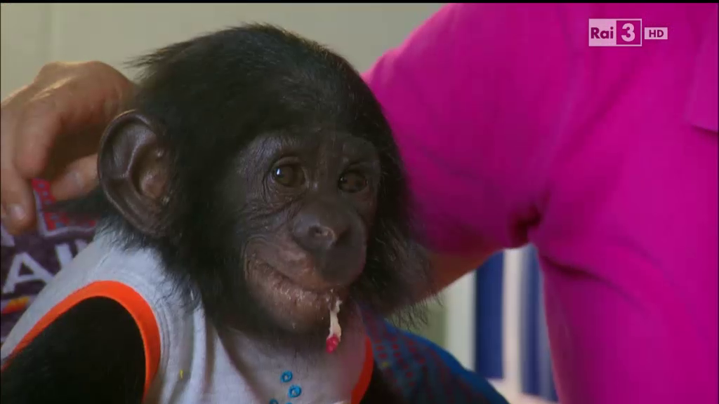 vlcsnap-2855-08-13-06h19m22s194