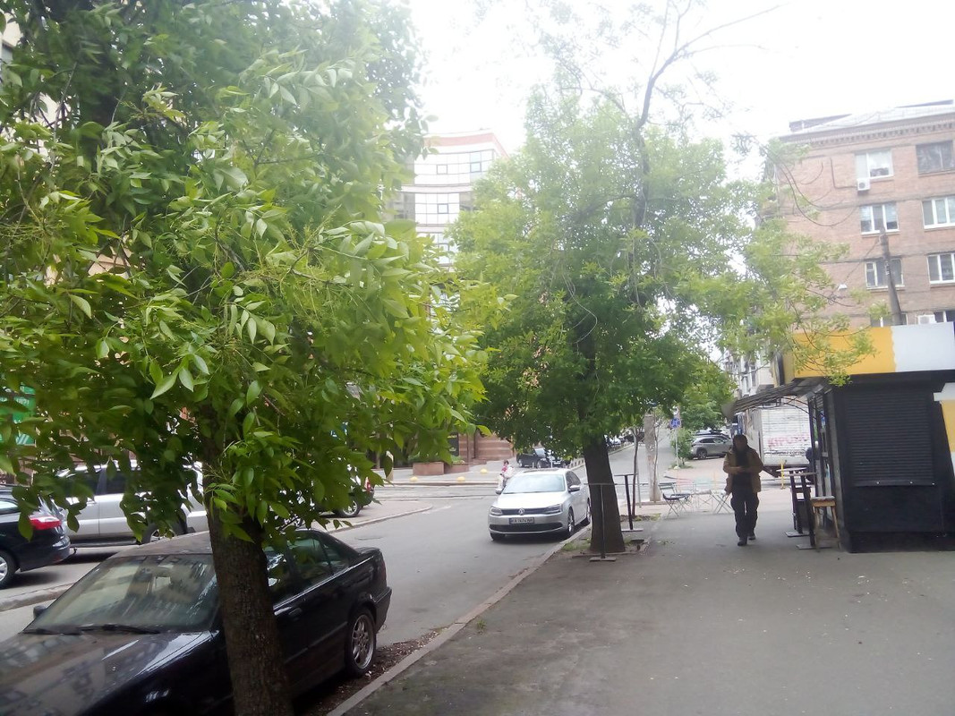 photo_2025-05-17 10.03.36 дп