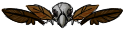 brown-birdskull-image.png