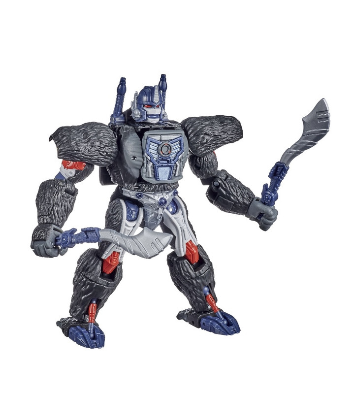 TF-Kingdom-Official-Pics-030