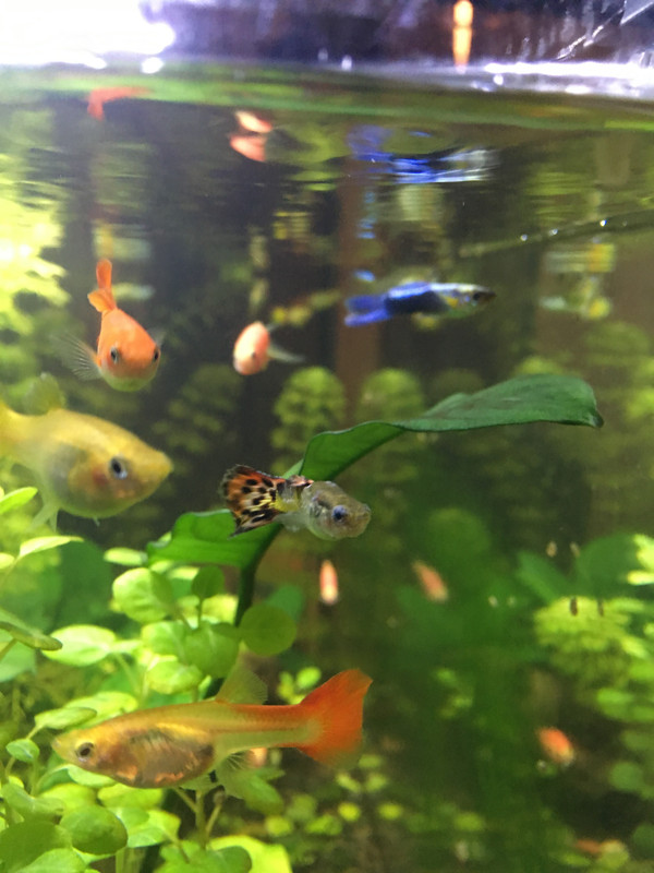 BED0B3CC-7732-4F08-895D-713AC7158504