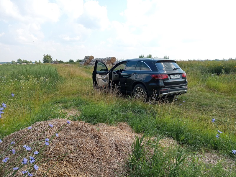 Дикое поле от Цны до Дона. Тамбов и Елец, Воргольские Скалы, Романцевские горы...