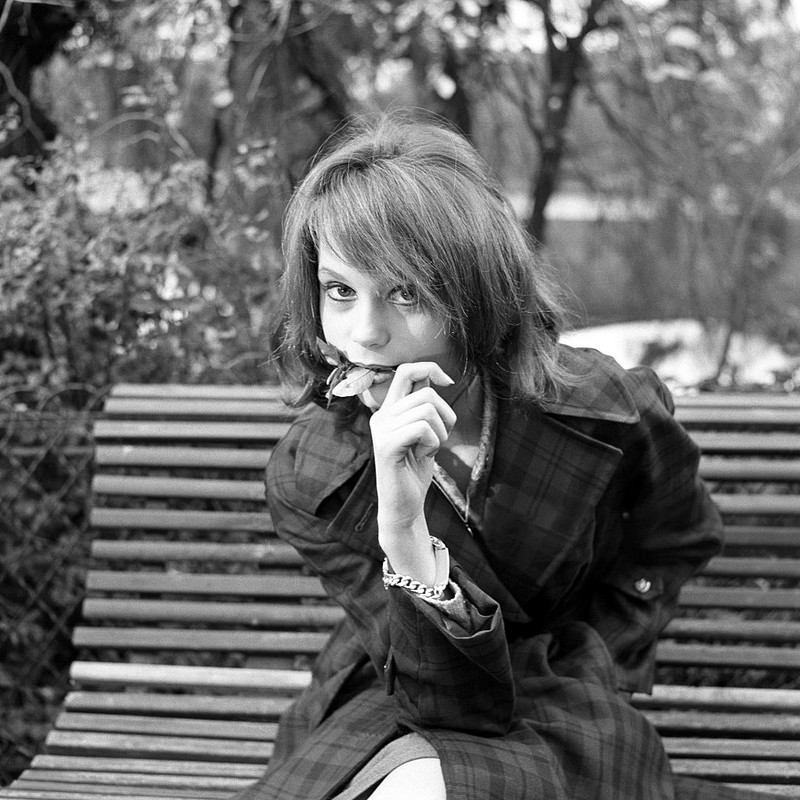 francoise_dorleac_zb33