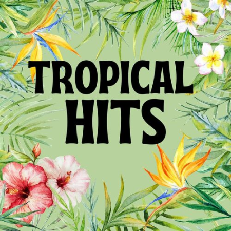 2ec02ebf 0dc1 4fb5 ae6f eeda26a73206 - VA - Tropical Hits (2022)