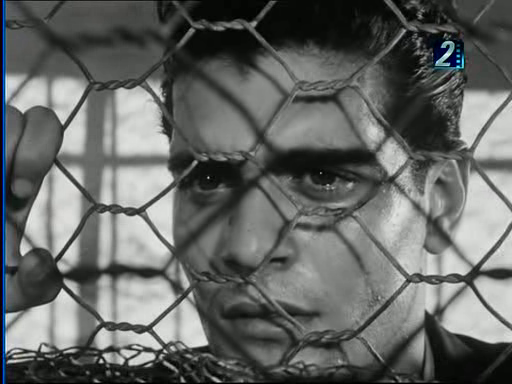 vlcsnap-2014-05-29-16h47m15s98