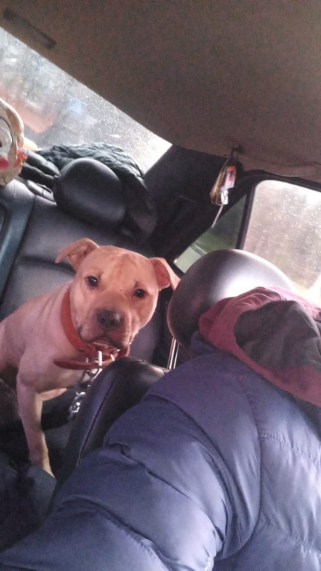 6F9C46AA-E750-4416-8424-EEB7DA3FD750