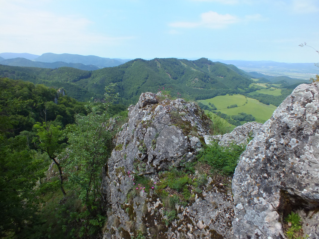 2019_0609STRAŻOWSKIE0019