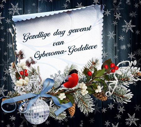 Welkom bij Cyberoma-Godelieve