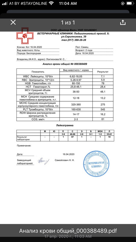0FC5E5CC-9C58-40C7-B472-C9F5DB072200