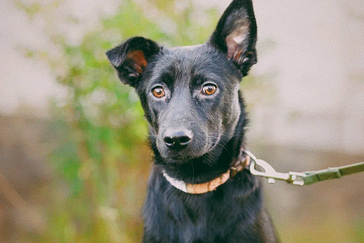 изображение_viber_2023-07-30_17-20-03-478