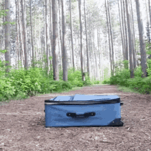 dog-hiding.gif