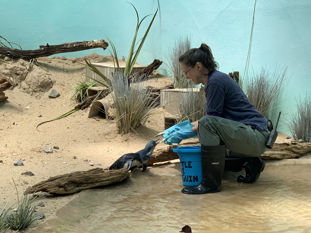 2B92B539-A0D4-4FD2-A71B-A6319CB21E6D