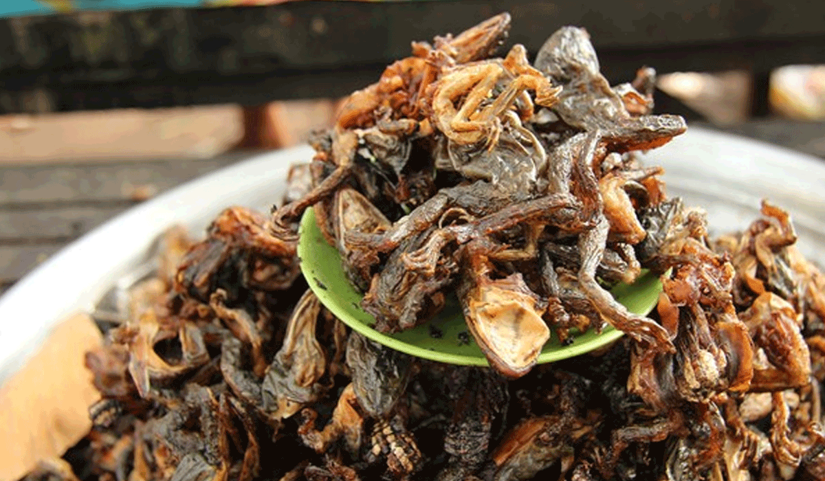 Cicak Goreng: Sensasi Kuliner Ekstrem yang Bikin Penasaran