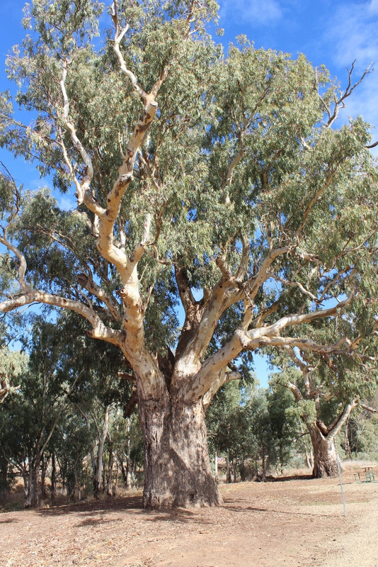 2021 Boys Googs Tk & Off-Track Desert Trip (174)