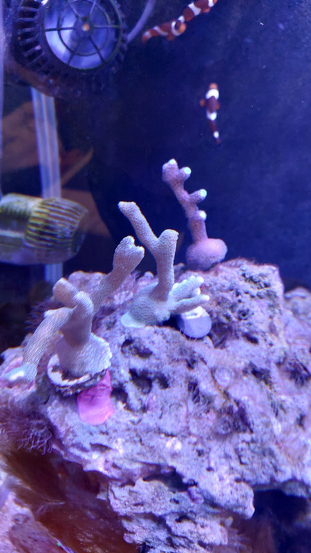 589396479 1160997196222836 6246610265260920095 n