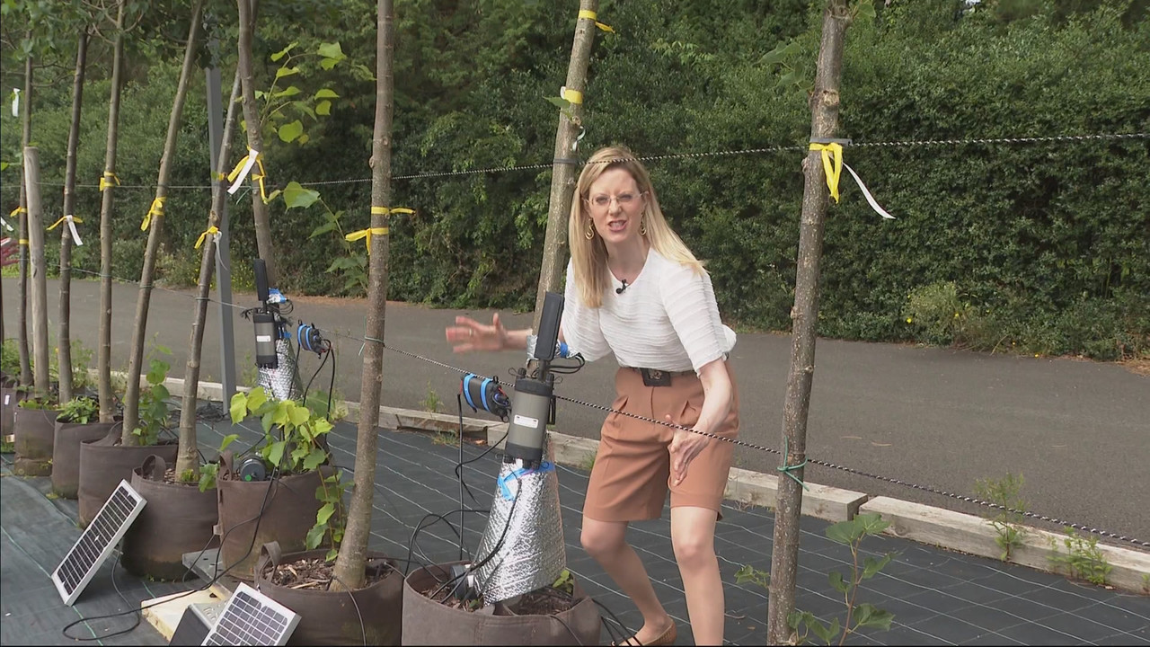ITV News London_20240722_18001830.ts_snapshot_22.51.005