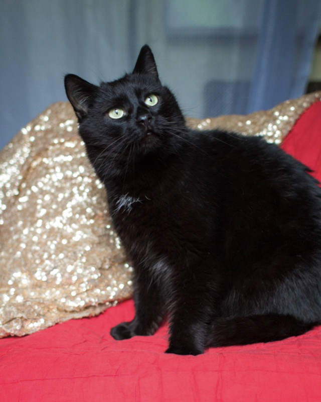 A12778B0-93C5-43A0-8E4C-6A0ABF7B4AED