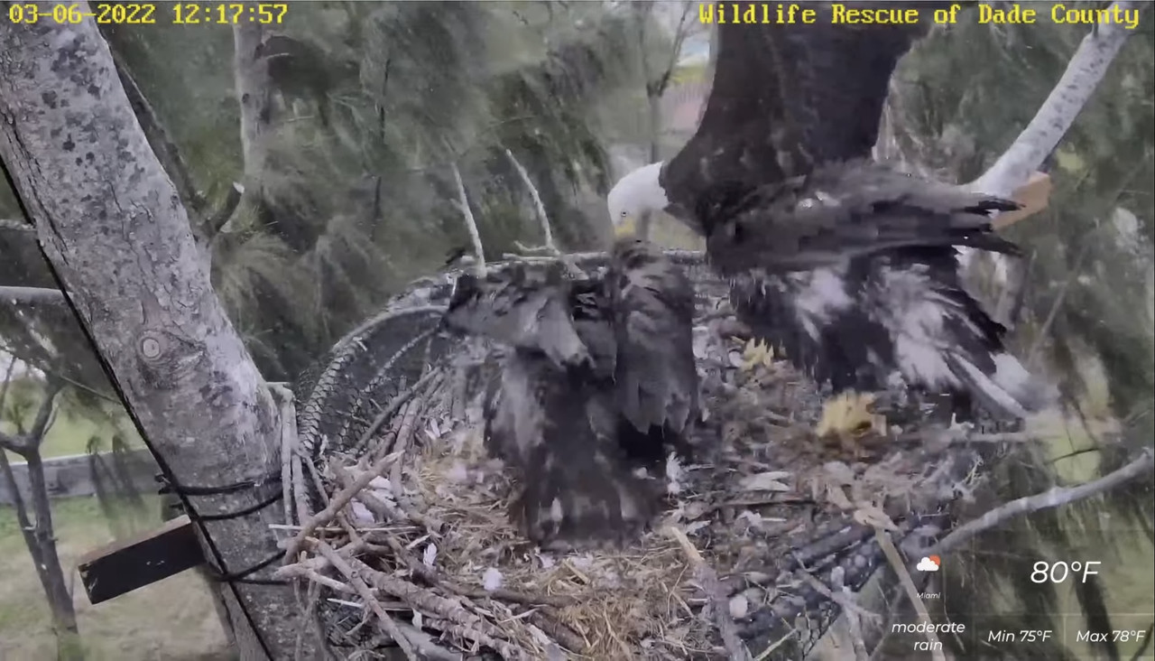 FAEB2D6D-67D1-4D8D-A5EB-48159DBC5CAD