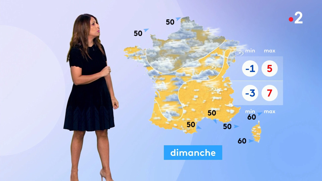 2022-01-14_12_50_Fr2_Meteo.mp4_snapshot_11.25.182