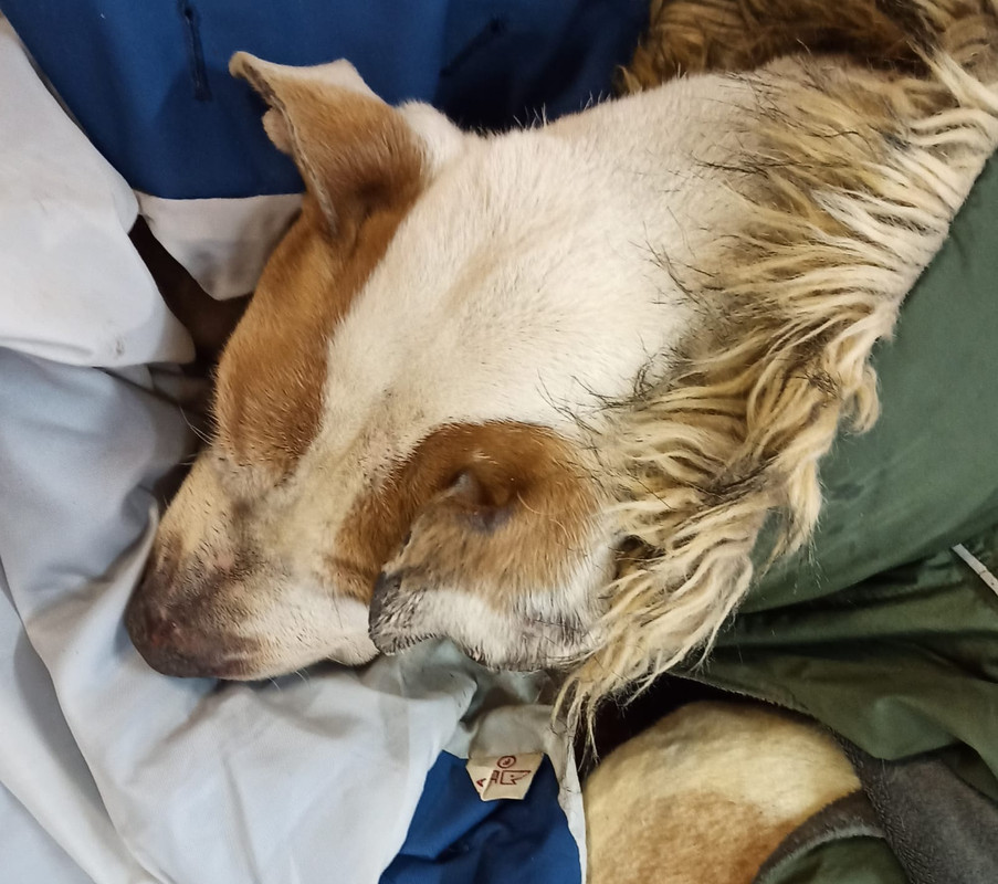 39829213-A515-42C2-A4B0-2487BB6EAC57