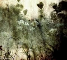 Tumblr l 502335902998269