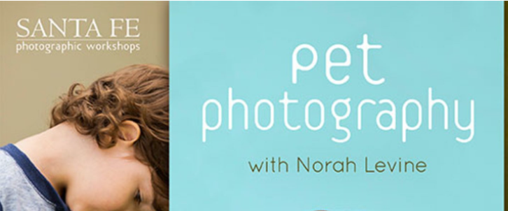 Pet Photography with Norah Levine