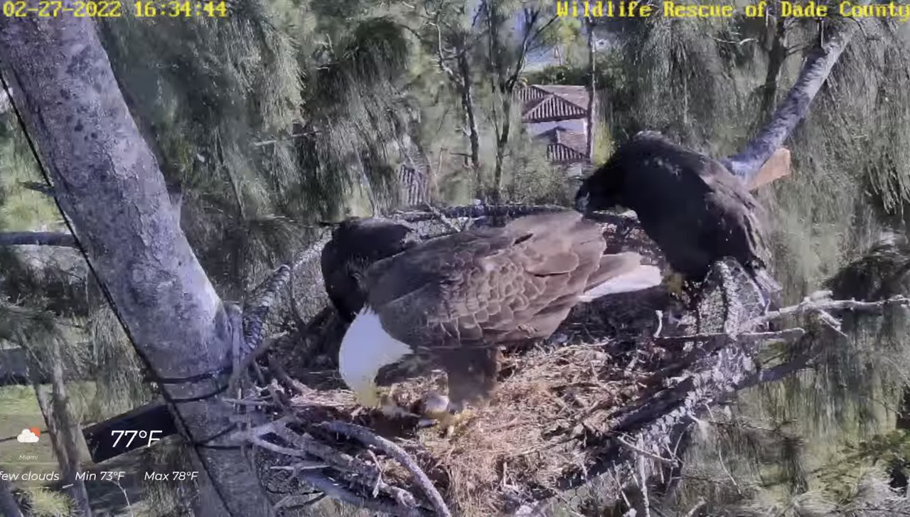 41E1484A-D3F7-4D99-9239-CCE1BEF5F3FF