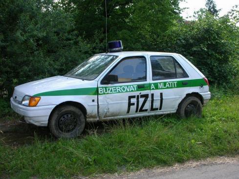 2557-0-fizli