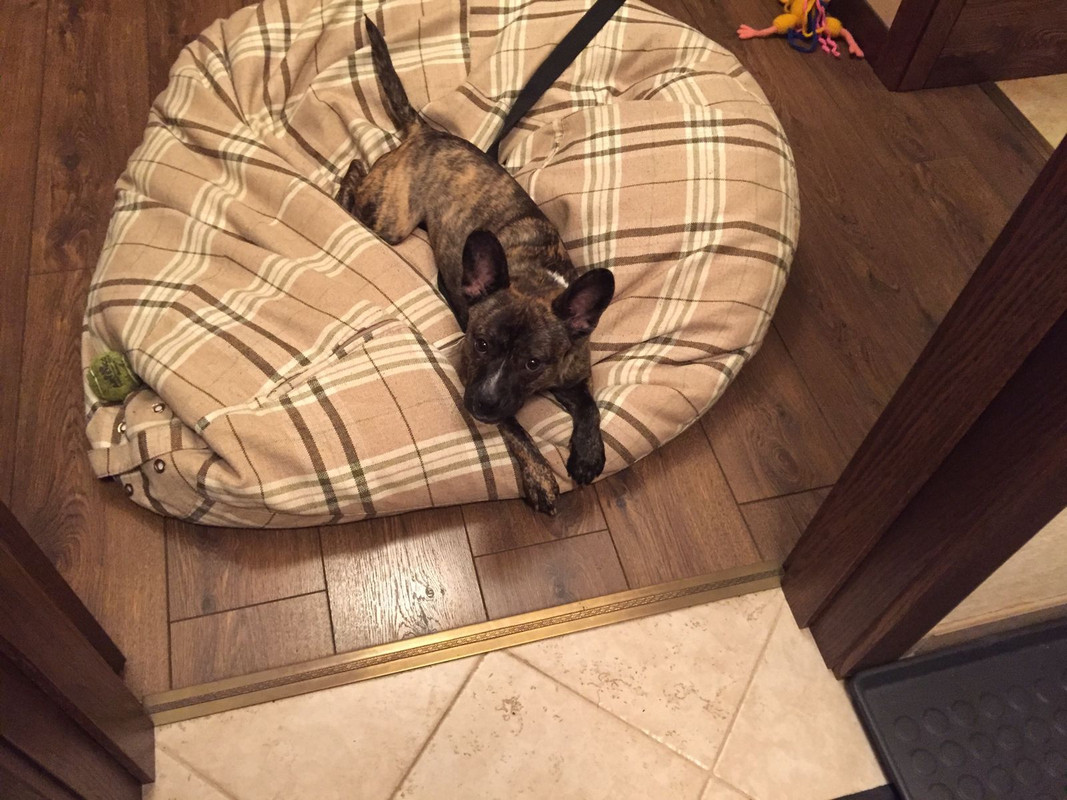 2243101F-0C9F-4399-96EB-EAD0C1704291