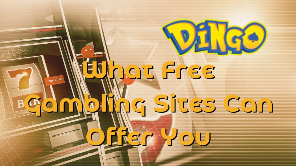 dingo casino