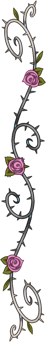 Divider-Vertical-1