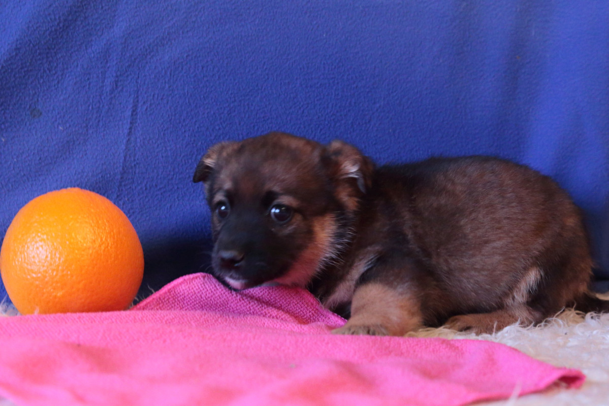 D9819894-350A-44F7-B0A8-FE742C65EF35