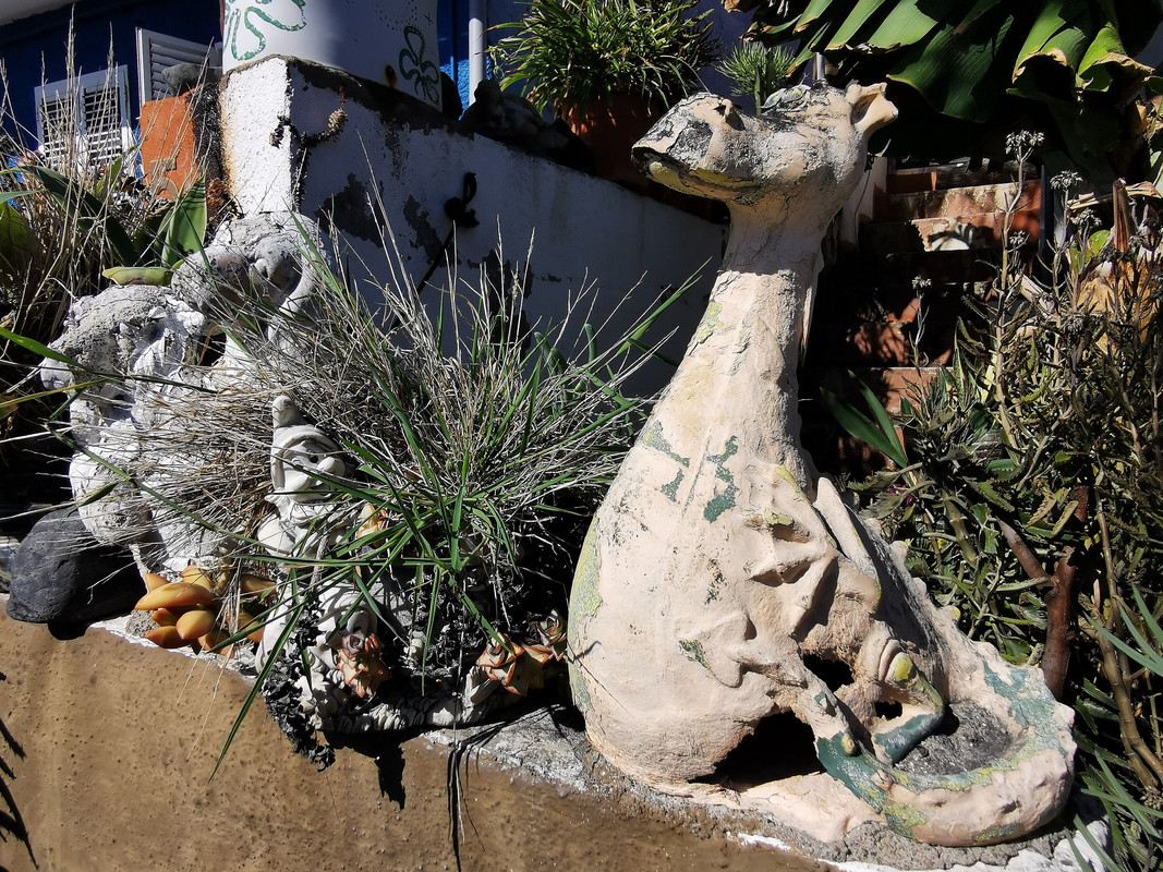 IMG_20240103_123620_edit_88465128772958