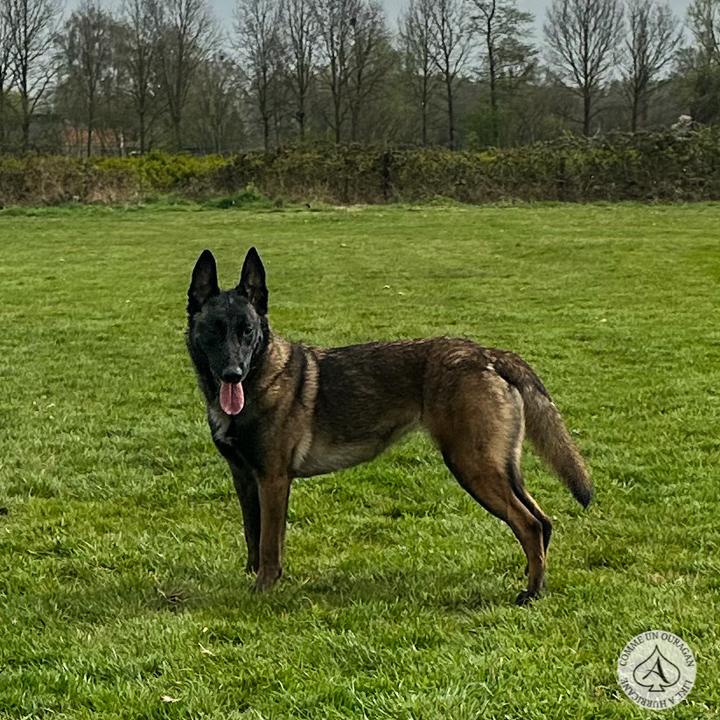 87669E32 D236 4498 9468 C7C8F50AC60F