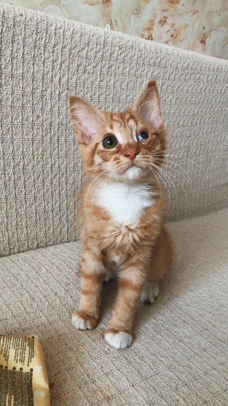 E62BE90A-AD4A-4AA4-B00C-C9B1DFD7CEF5