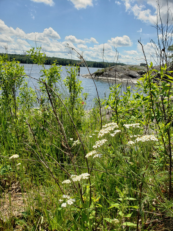 [Image: 20190623-114351.jpg]