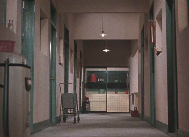 Equinox Flower (Higanbana ) - Ozu 1958.avi_20210221_093229.757