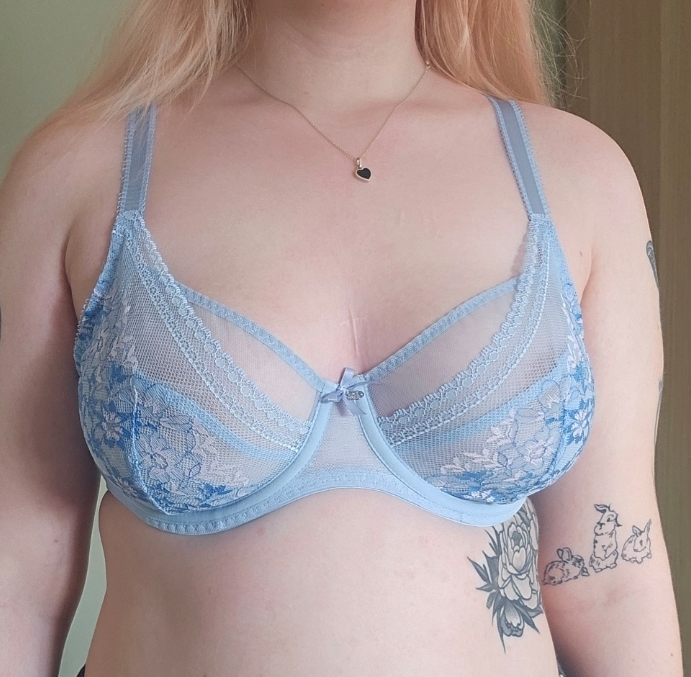 Screenshot 20260305 113535 Gallery