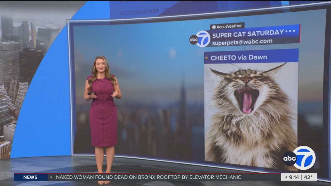 Eyewitness News This Morning_20250308_14001500.ts_snapshot_00.15.26.447