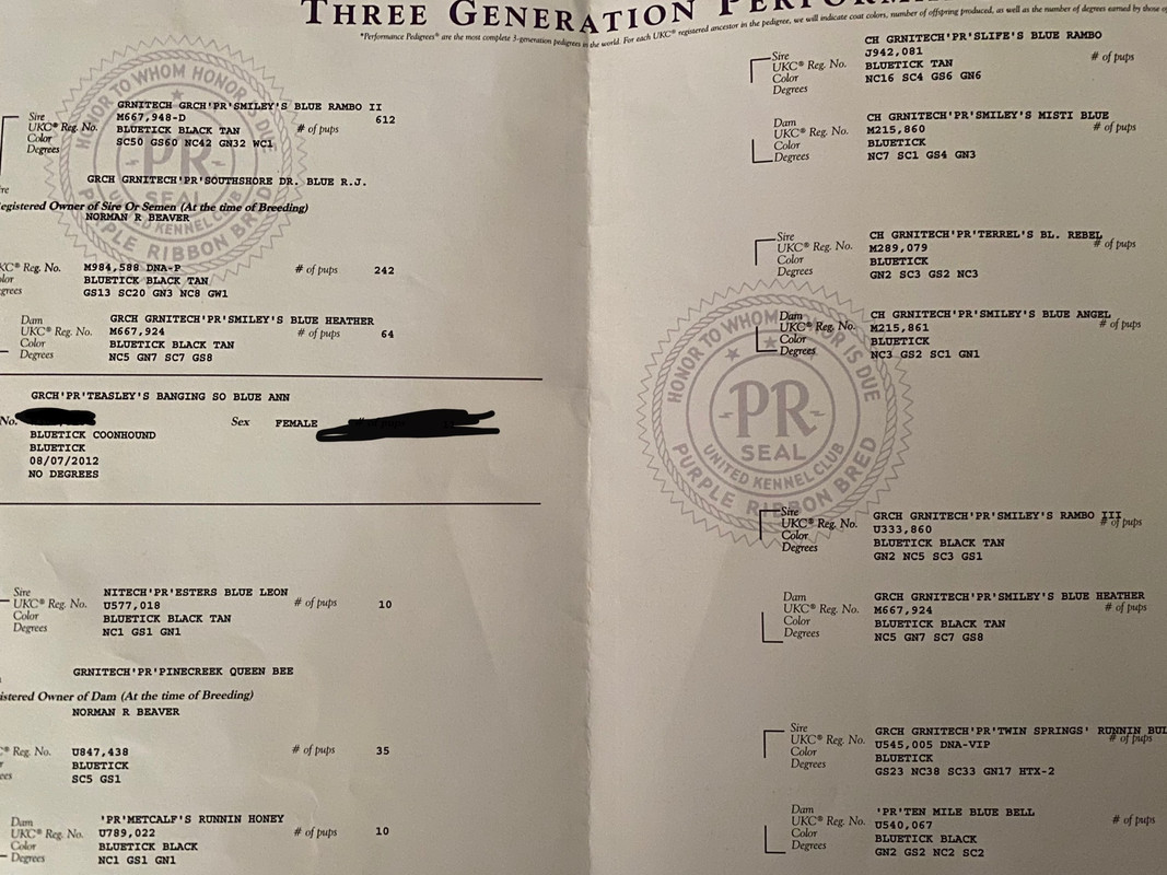 BEF5265D-D37F-46C2-B0A2-46E50097836D