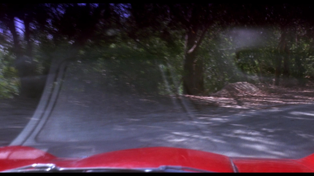 Poison Ivy 1992 Unrated 1080p BluRay REMUX AVC DTS-HD MA 2.0-m3th_000010