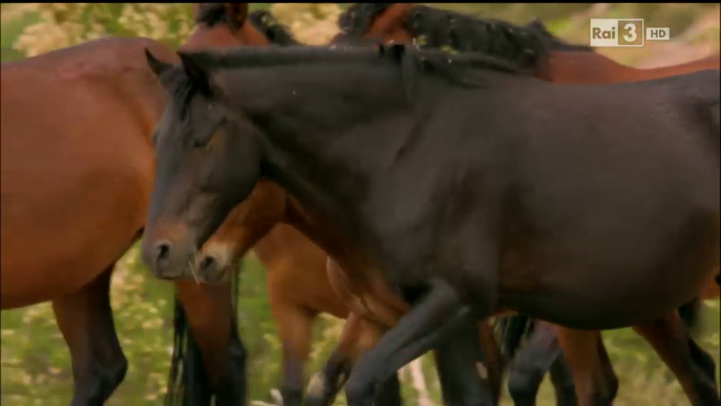 vlcsnap-9758-05-25-07h11m44s068