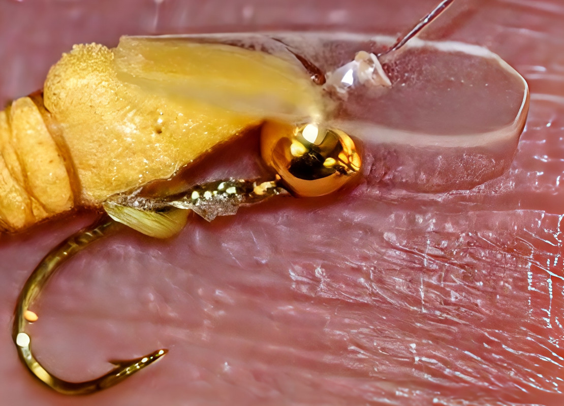 QVZnMHNDbVNTZHRBU08tOEhFeDEtUXBR~4