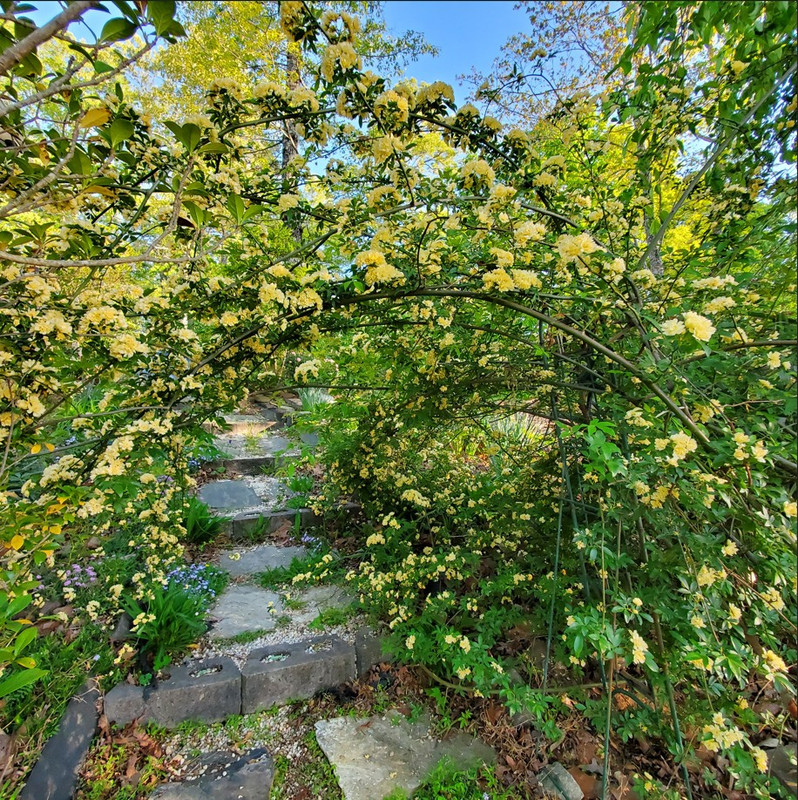 [Image: Slope-After.jpg]