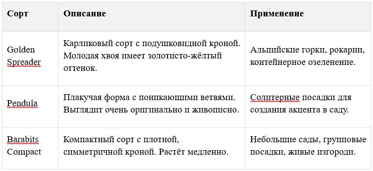 Таблица Популярных сортов пихты Нордмана